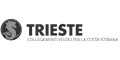 Logo Trieste Lines Service